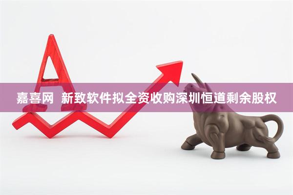 嘉喜网  新致软件拟全资收购深圳恒道剩余股权