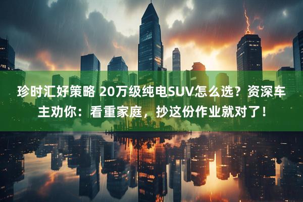 珍时汇好策略 20万级纯电SUV怎么选？资深车主劝你：看重家庭，抄这份作业就对了！
